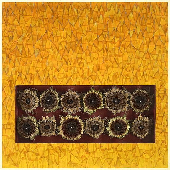 We Once Were Beautiful (Sunflowers)